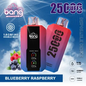 Bang 25000 Puffs 0% 2% 3% 5% Nabíjateľné jednorazové vapes pero s nízkym obsahom nikotínu vo veľkom Kúpiť veľkoobchod – WhizVape – 14